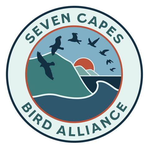 Seven Capes Bird Alliance