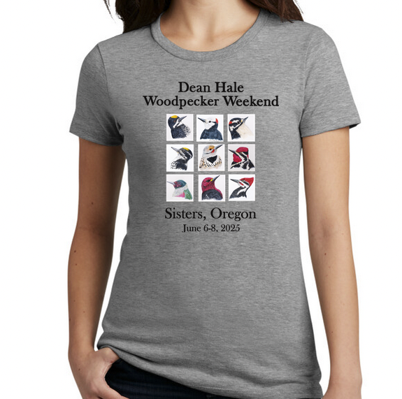 Screen Shot 2025-05-27 at 2.46.49 PM