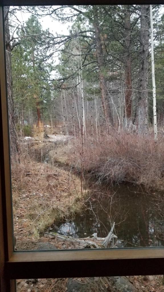 Nearly invisible dotted film at High Desert Museum from inside