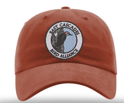 Screen Shot 2026-03-24 at 10.46.37 AM