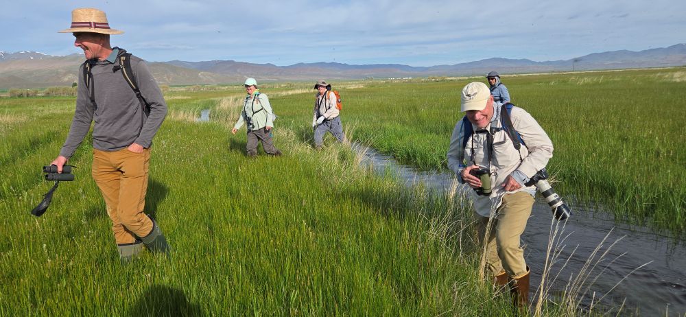 ODLT Bird Surveys 2025005_02sm Kharli Rose
