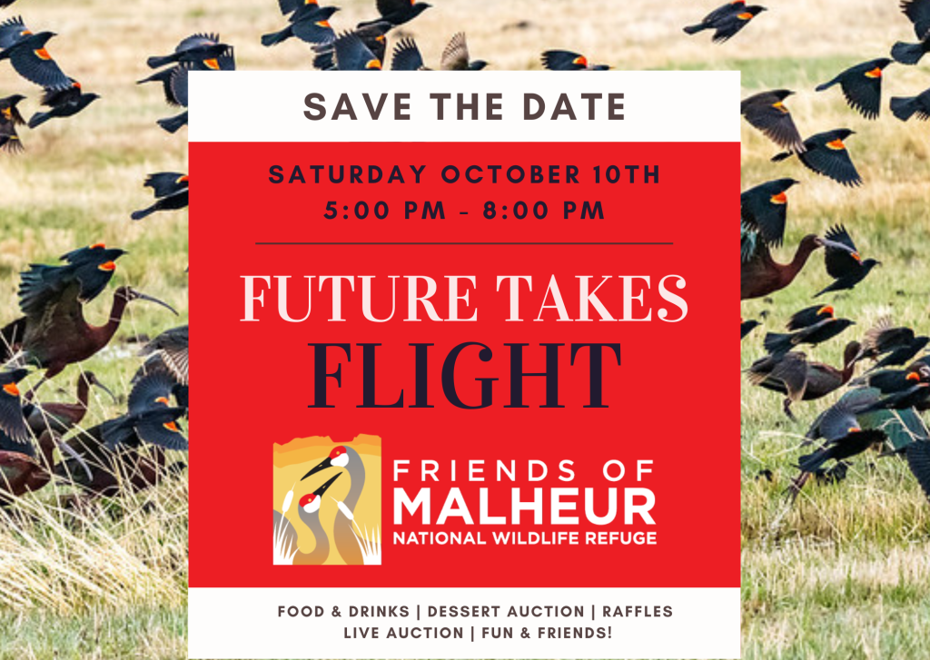 Save the Date