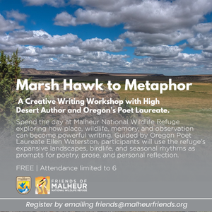 Writing Workshop