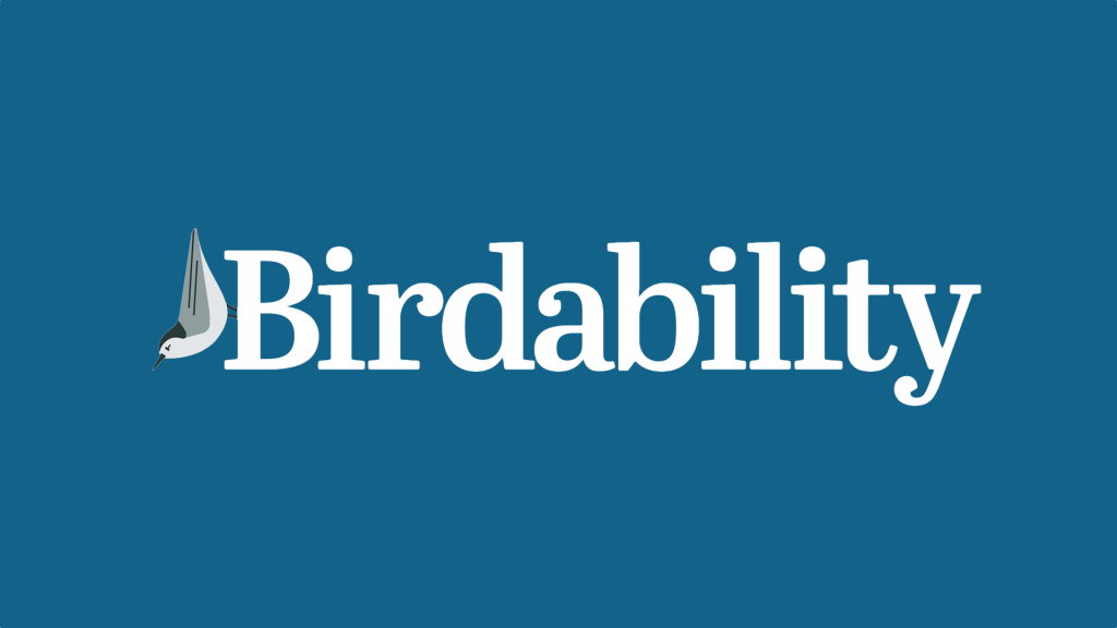 birdability2